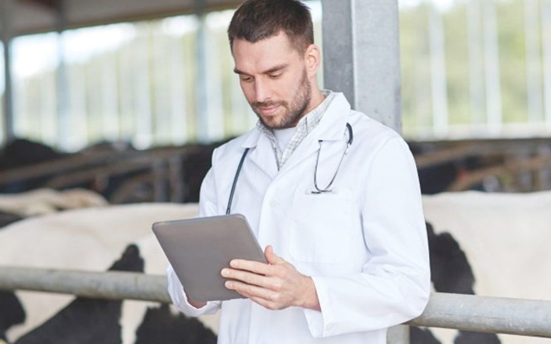 High Court rules FSA meat inspection charges unlawful