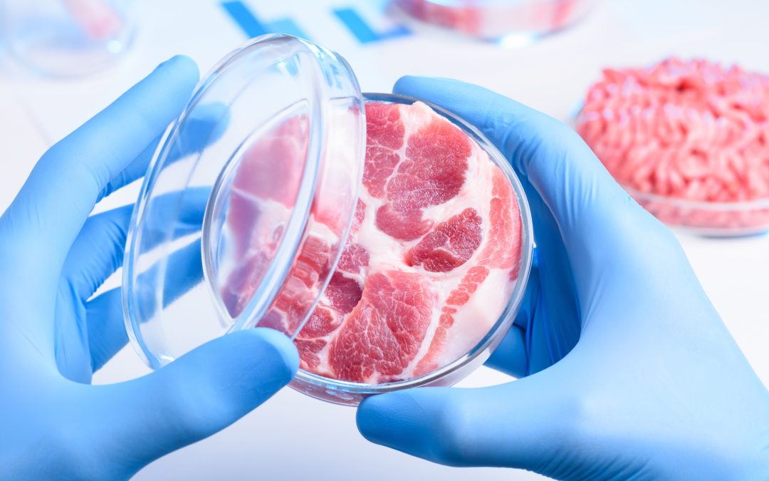 FSA and FSS publish new cell-cultivated guidance