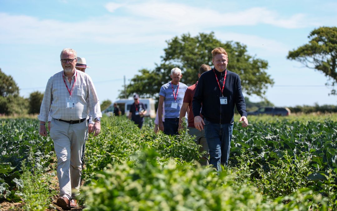 MPs visit West Sussex farm to hear of pressures on producers