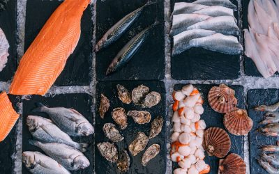 Seafish sets seafood business needs at heart of new Annual Plan