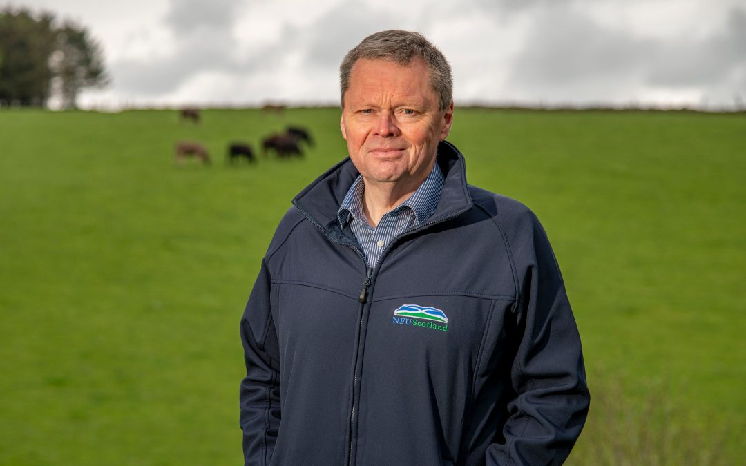 Retailers increase Scottish sourcing, finds NFU Scotland