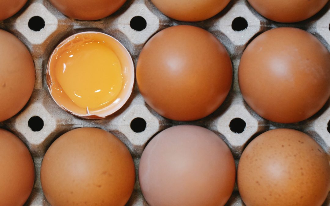 Industry backs UK-produced eggs amid Salmonella outbreak linked to imports