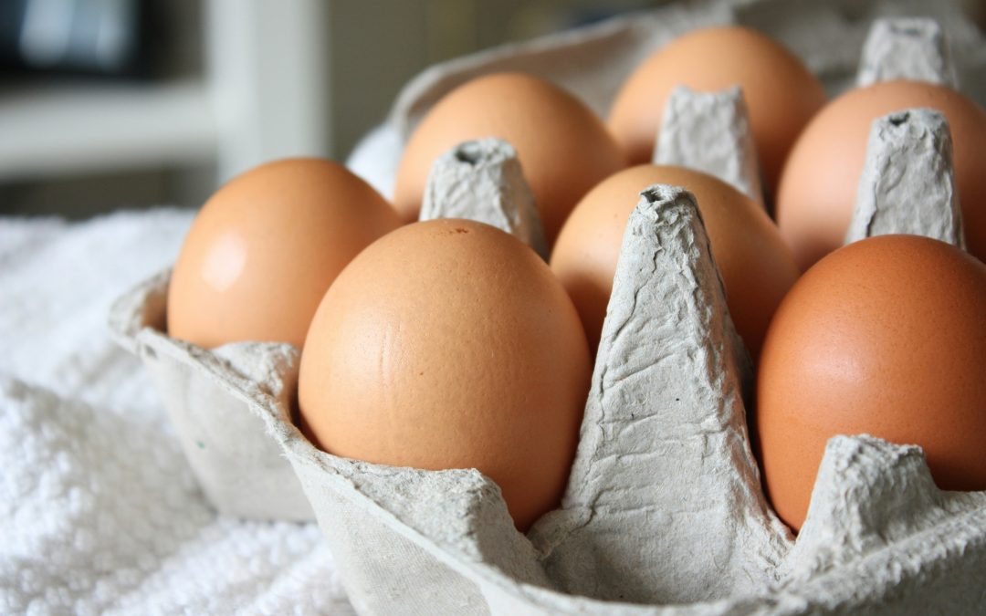 UK Salmonella cases linked to imported eggs rises to 259