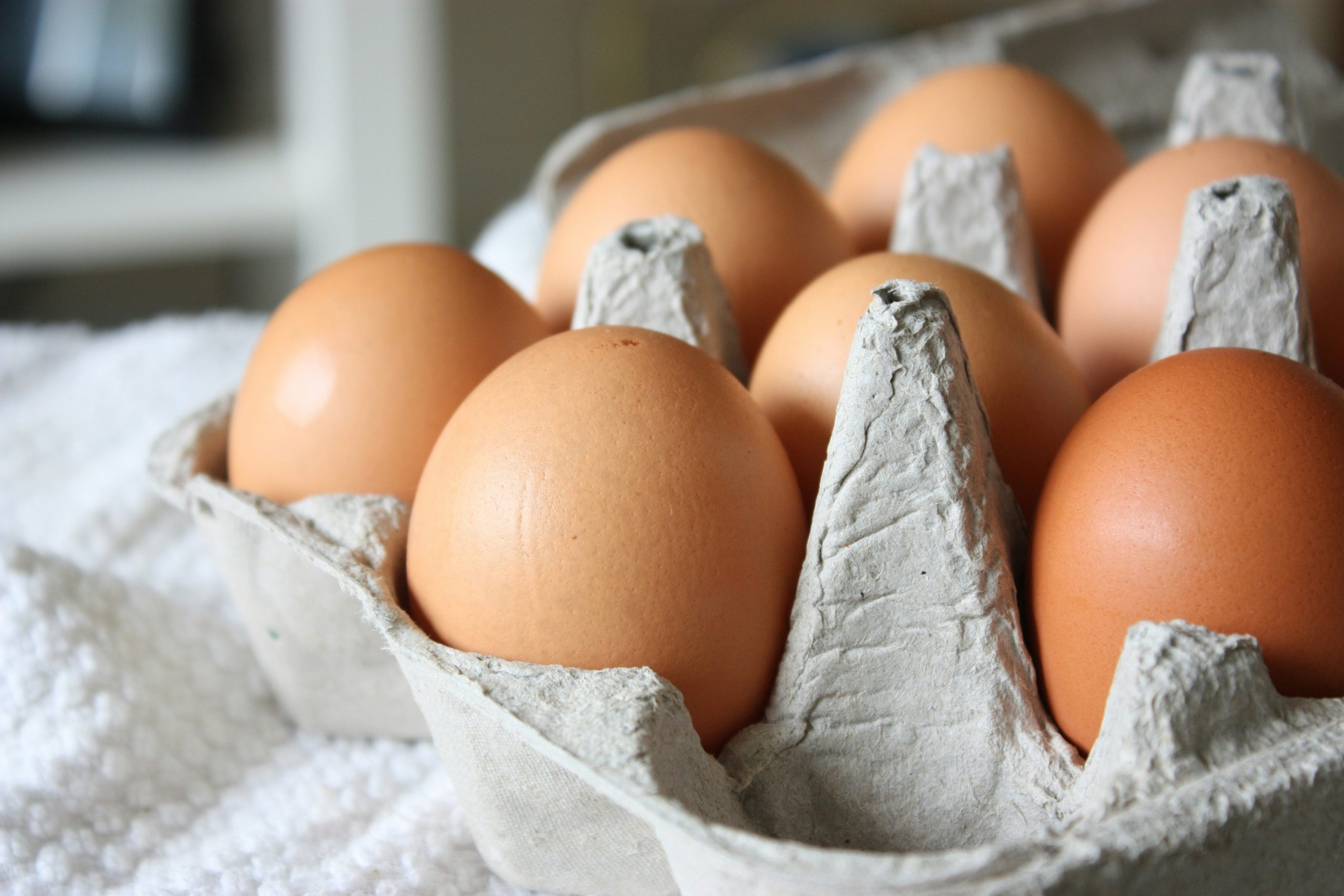 Eggs Unsplash