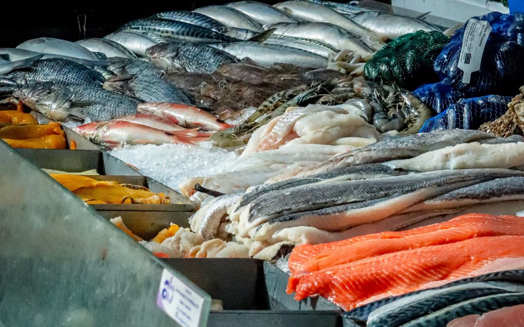 Seafish receives £1.4m to increase industry training