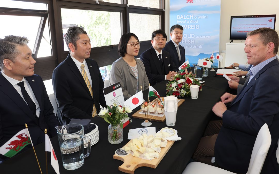 Japanese investors meet with Welsh agri-food representatives
