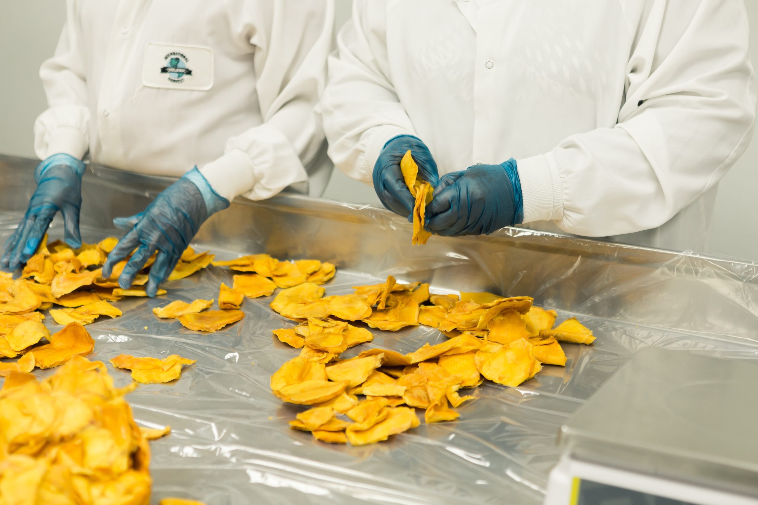 Production line dried mango IngImage