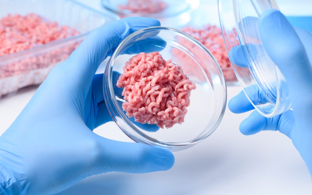 Further cell-cultivated guidance released by food standards bodies