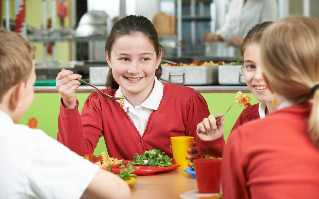 Government bans deep-fried food on school menus and increases fibre