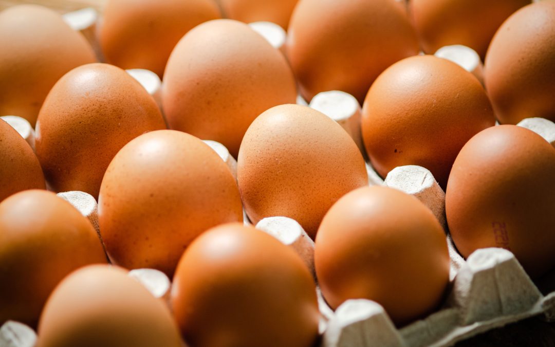 FSA issues alert after Salmonella found in eggs from Ukrainian supplier