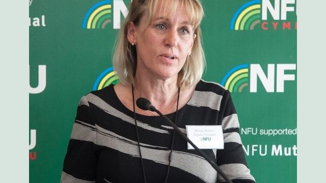 NFU president Minette Batters. NFU president Minette Batters.