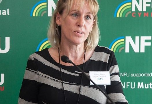 NFU president Minette Batters. NFU president Minette Batters.